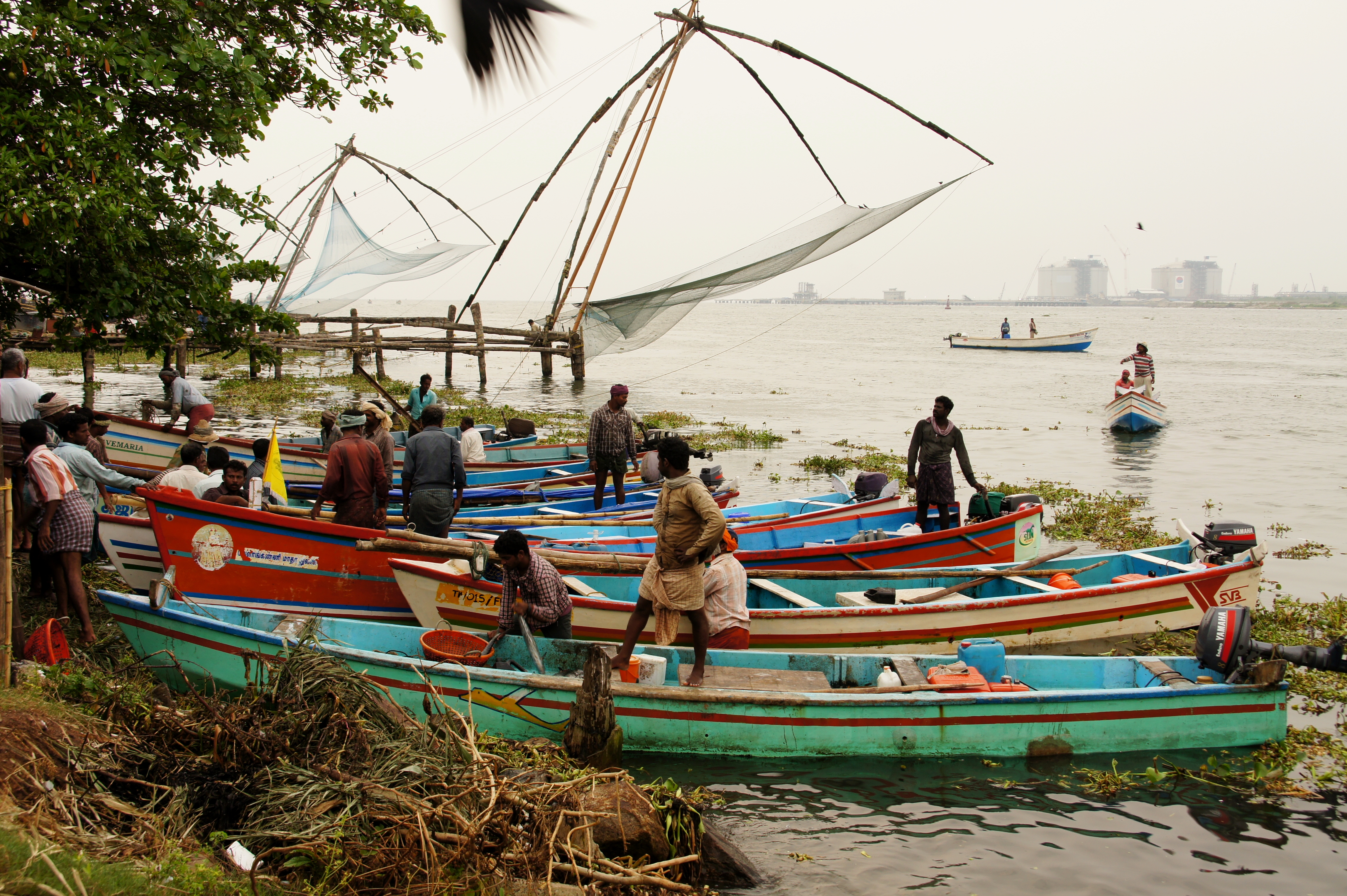 les pêcheurs au carrelets à Kochi, dans le Kerala, en Inde